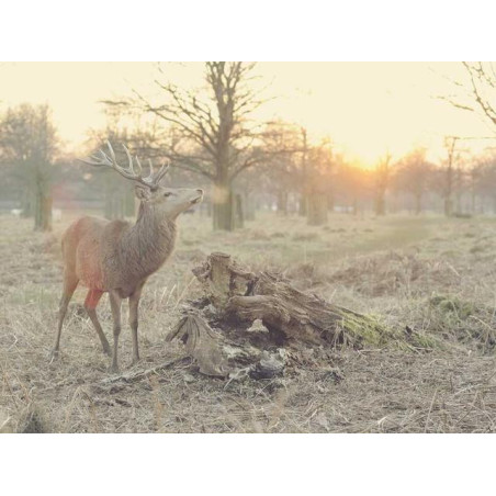 Small Steel Pants fr-FR